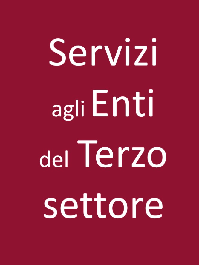 terzo settore